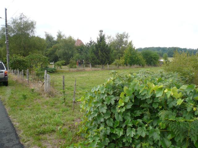 Building Plot In The Charente - 2
