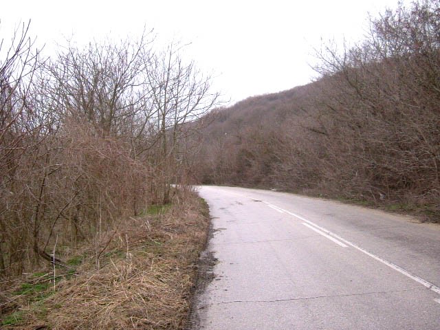 Land in Balchik, Albena - 2