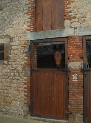 House With Equestrian Facility - 2