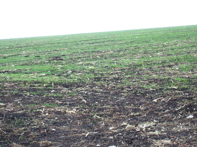 Land in Krapets, Shabla - 2