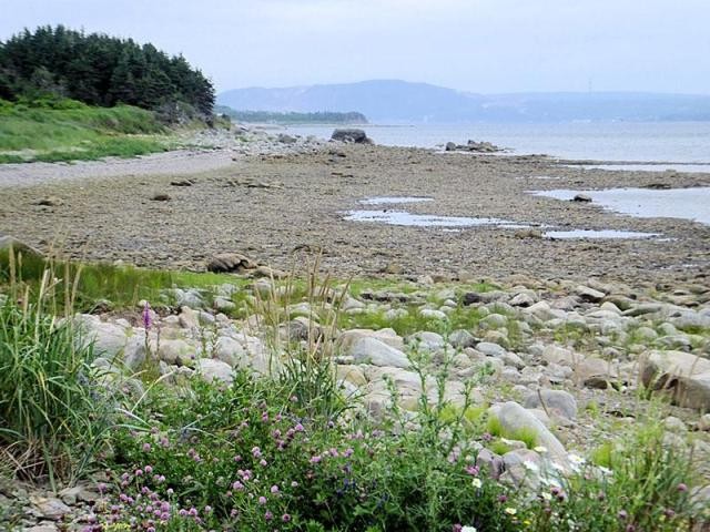 Land For Sale: Route 19 Troy, Inverness..
