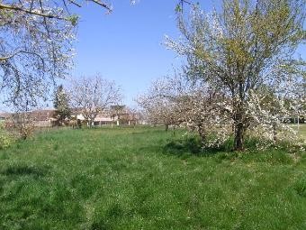 LOT ET GARONNE land of 2020 m2 - 2