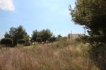 Plot, Alicante (Costa Blanca), La..
