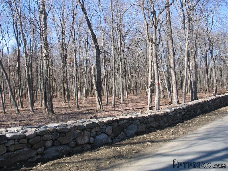 Land For Sale: 209 Finch Road North..