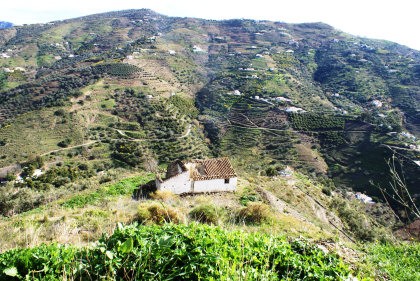 Rural land for Sale in Competa, Competa..