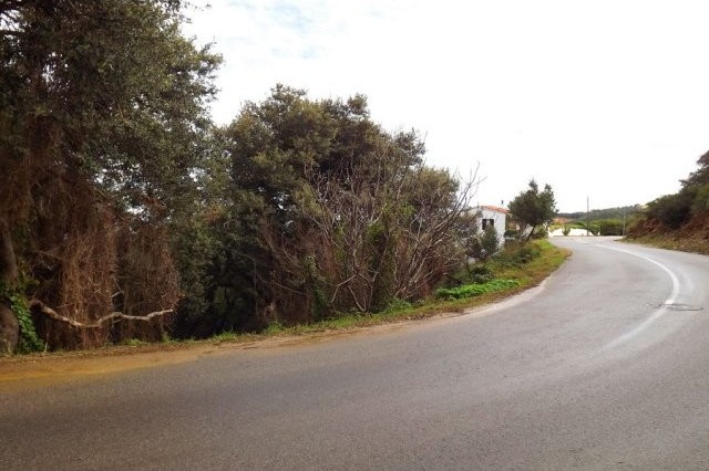 Plot with sea views near Sa Riera - 2