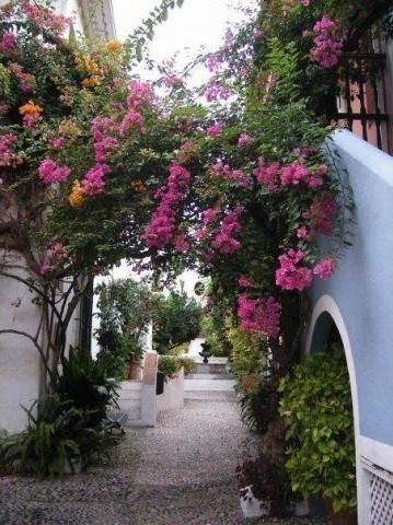2 bedroom town house for sale
