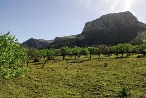 Colonia de San Pedro, finca plot for..