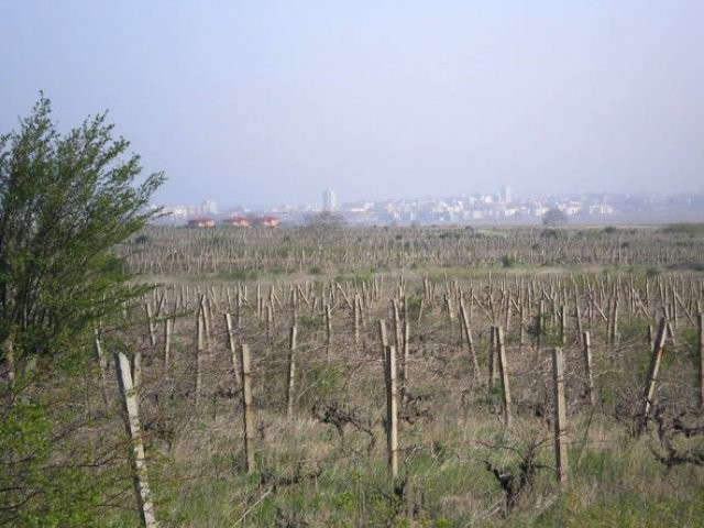 Land for sale in Sunny Beach