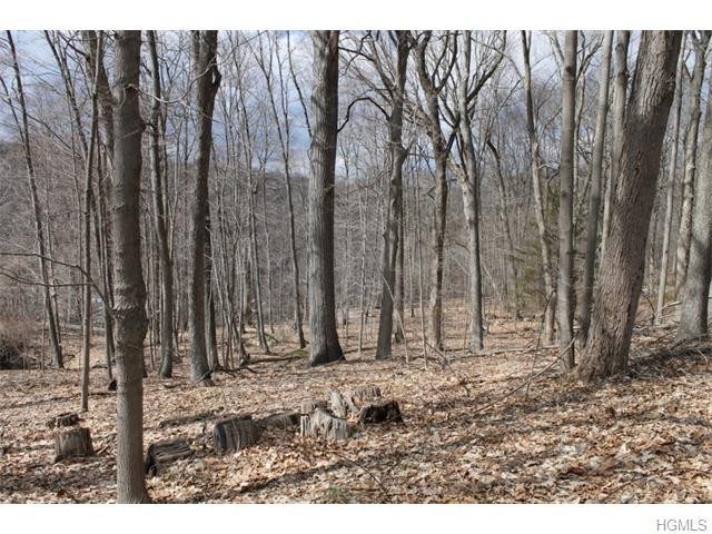 Land For Sale: Pleasantville, New York - 2