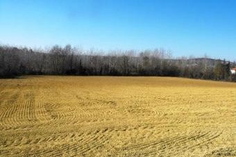 Possibility To Buy This Building Plot.. - 2