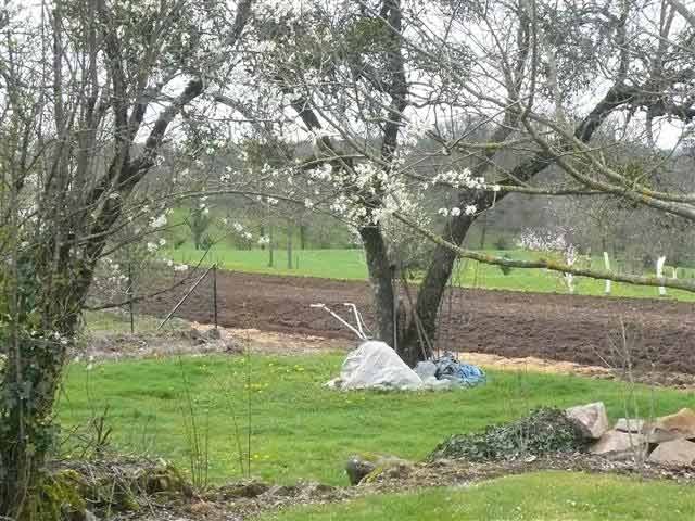 Building Plot In The Regional Natural.. - 2