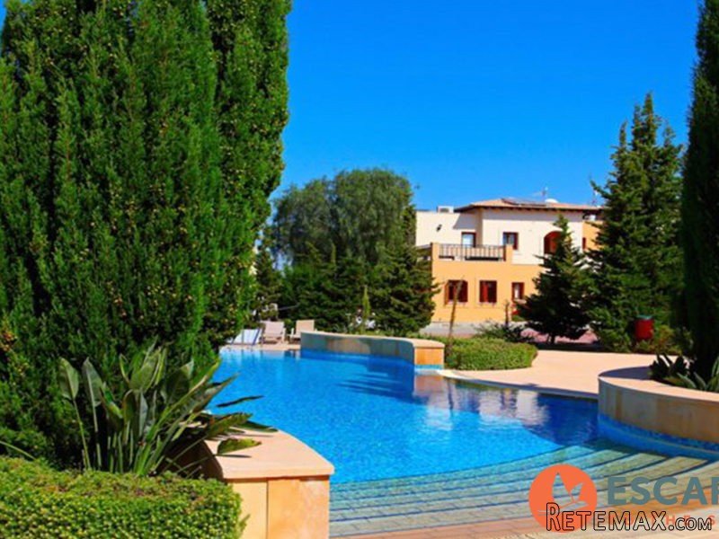 Luxury Apartment In Theseus Village