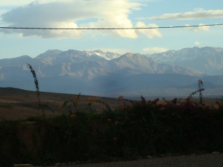 Titled plot - 26.000m² - Airport road -..