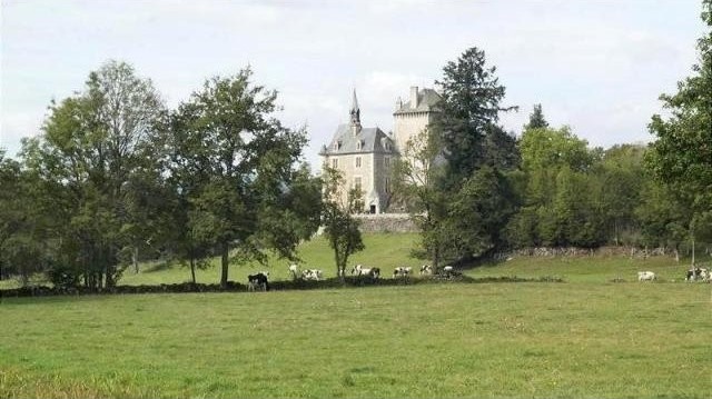 16 bedroom Castle For Sale: 15240 VEBRET - 2