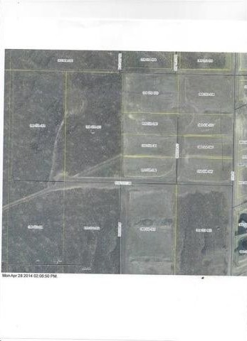 Land For Sale: Silver Springs, Nevada