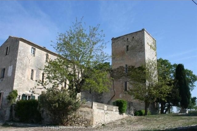 Castle For Sale: 30800 GARD - 2