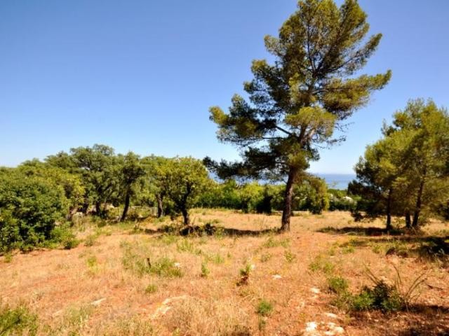 Sierra Blanca - Camojan Plot_MPC327 - 2