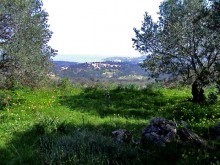 Crete Land