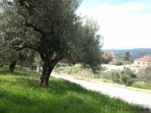 Land Property For Sale In Crete
