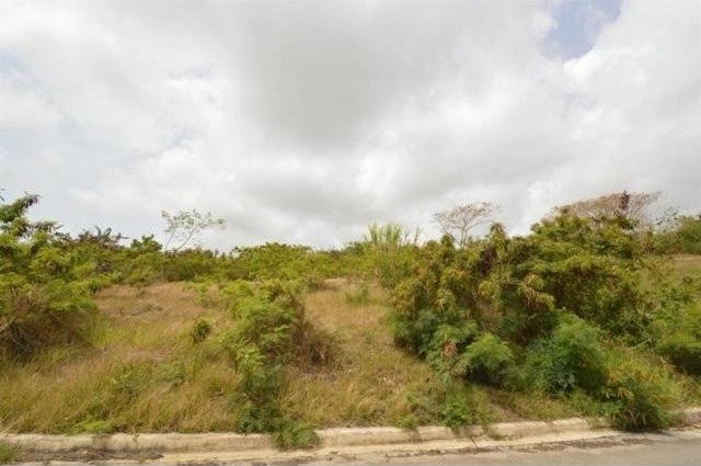 Property For Sale: Moncrieffe Ridge Lot..