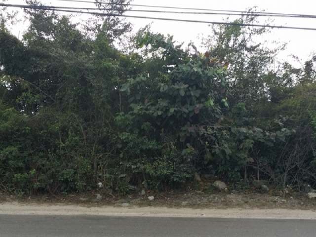 Singlefamilyvacant - This lot is.. - 2