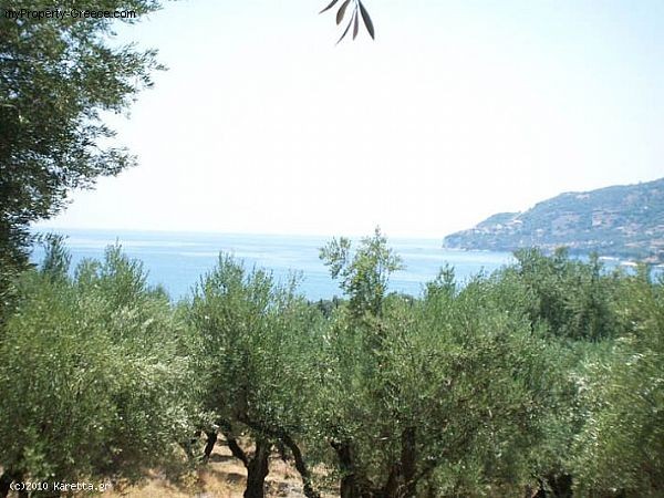 Land - Zakynthos - For Sale - 2