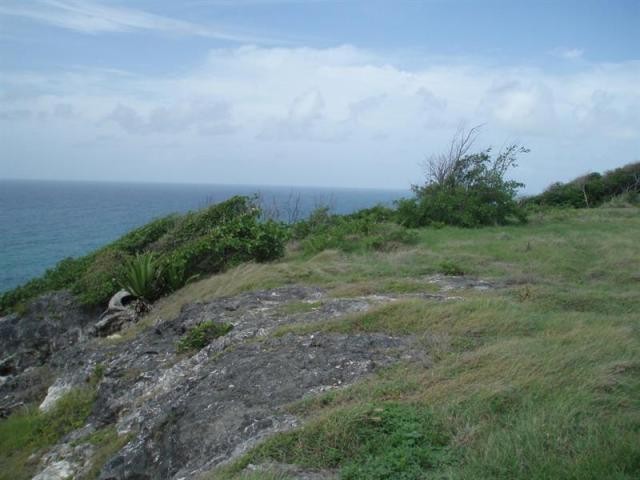 Property For Sale: Gemswick, St...