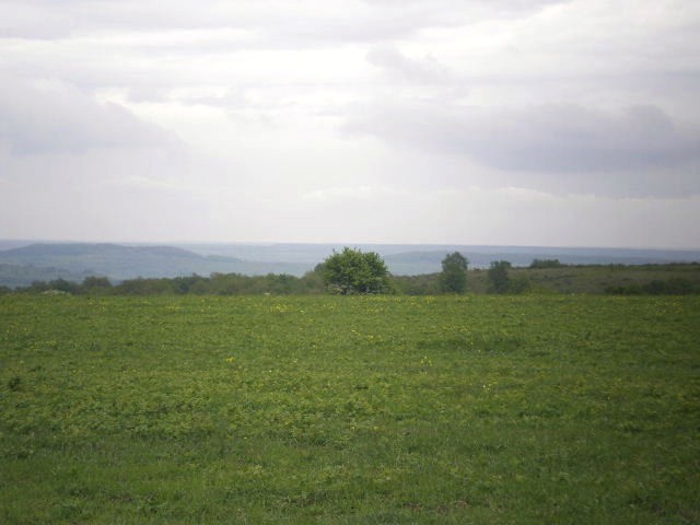 Land in Varna