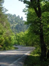 Real Estate Greece Evia