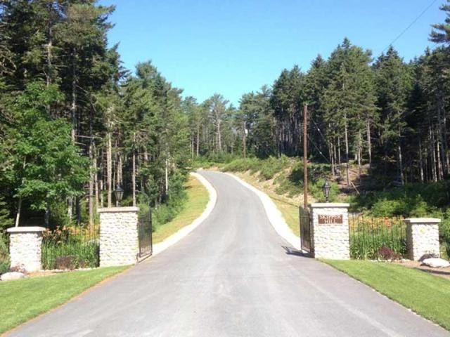 Land For Sale: Lot 9 Skipper Hill Drive.. - 2