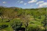 4 Bedrooms - Finca - For Sale