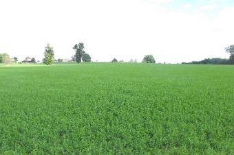 DORDOGNE land a batir of 2500 m2