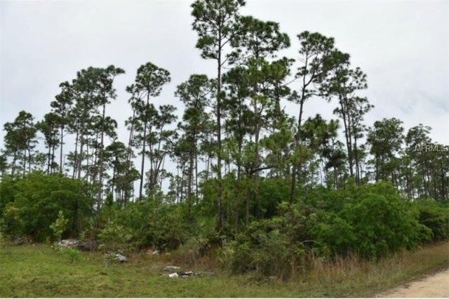 Land For Sale: Curtis Rd, Freeport, OC..