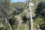 - Land - For Sale