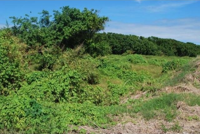 Property For Sale: Culpepper Island.. - 2
