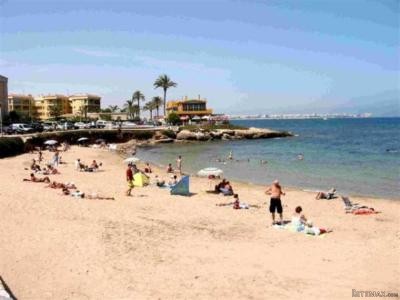 1 Bedroom - Apartment - Alicante - For.. - 2