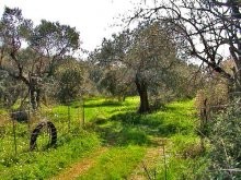 Crete Land - 2