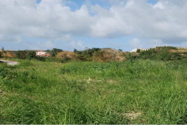 Property For Sale: Applegrove Estate 31.. - 2