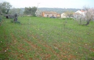Te Koop: Bouwkavel In Centraal Algarve.. - 2