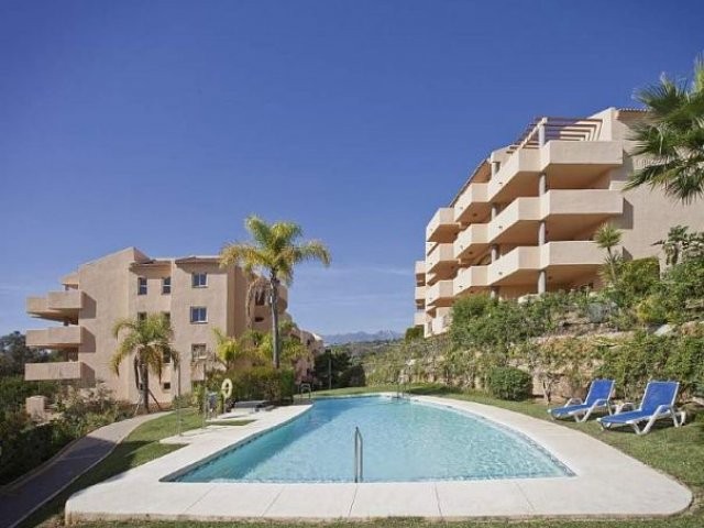Apartment - 2/3 Bedrooms - 2 Baths..