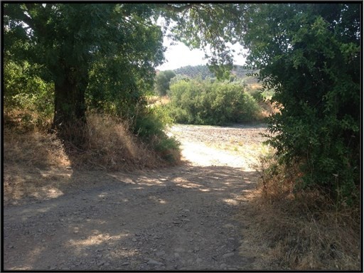 Plot- Sao Marcos da Serra - Silves -.. - 2