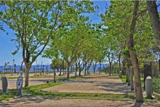 Front Line Beach Plot