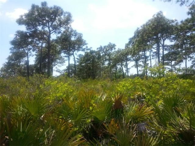 Land For Sale: 15 Tarpon Ct, Placida.. - 2