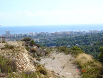 Land - For Sale - 2