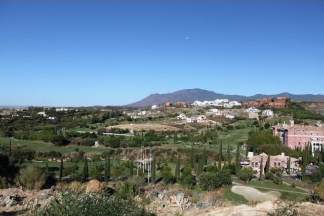 Los Flamingos Plot - 2