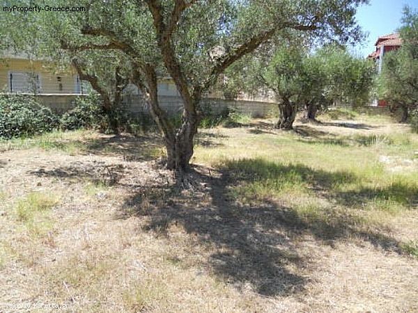 Land - Zakynthos - For Sale