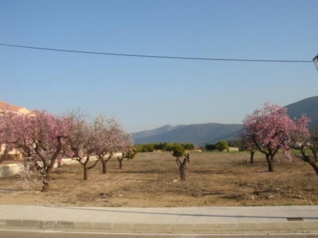 - Property - Alicante - For Sale - 2