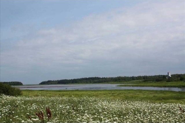 Land For Sale: 1127 Blue Sea Road.. - 2