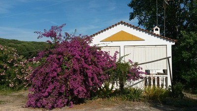 Finca Farm - Awaiting further details.. - 2